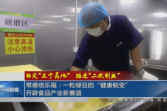 常德倍乐福：一粒绿豆的