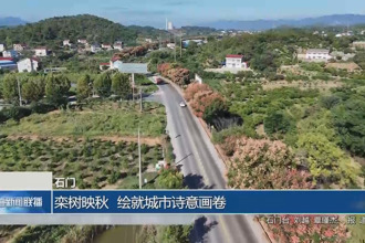 石门：栾树映秋 绘就城市诗意画卷