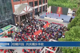 石门：柑橘开园 共庆橘乡丰收