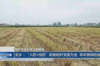 安乡：