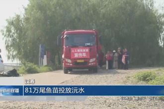 汉寿：81万尾鱼苗投放沅水