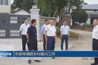 市领导调研乡村振兴工作