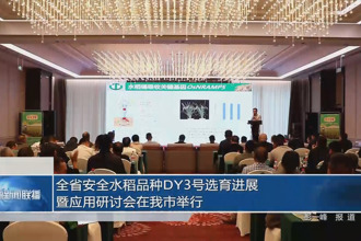 全省安全水稻品种DY3号选育进展暨应用研讨会在常德市举行