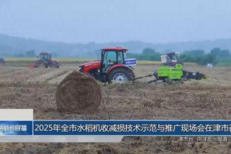 2025年常德市水稻机收减损技术示范与推广现场会在津市召开