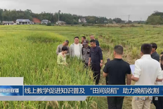 线上教学促进知识普及 