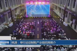 桃源：举行运动制鞋产业链招商推介