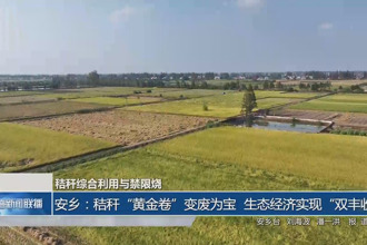 安乡：秸秆
