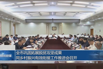 全市巩固拓展脱贫攻坚成果同乡村振兴有效衔接工作推进会召开