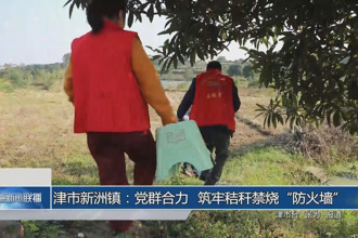 津市新洲镇：党群合力 筑牢秸秆禁烧