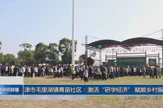 津市毛里湖镇青苗社区：激活