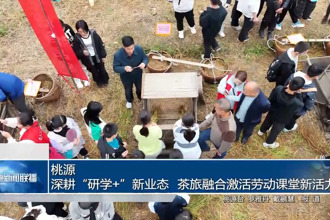 桃源：深耕