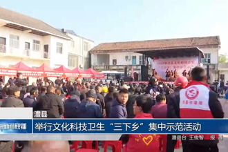 澧县：举行文化科技卫生