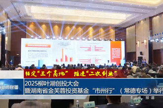 2025柳叶湖创投大会暨湖南省金芙蓉投资基金