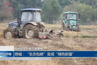 鼎城：