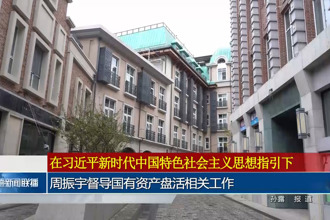 周振宇督导国有资产盘活相关工作