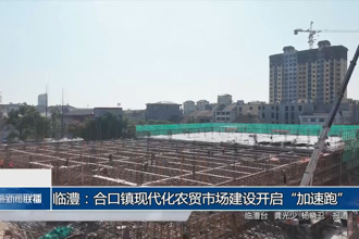 临澧：合口镇现代化农贸市场建设开启