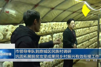 市领导率队到鼎城区民族村调研巩固拓展脱贫攻坚成果同乡村振兴有效衔接工作