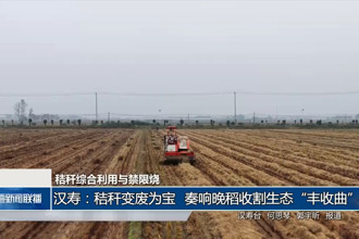 汉寿：秸秆变废为宝 奏响晚稻收割生态