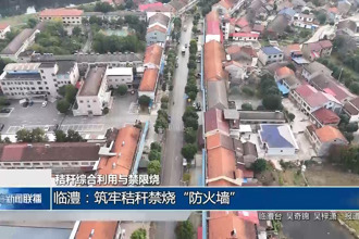 临澧：筑牢秸秆禁烧