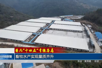 非凡