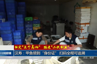 汉寿：甲鱼领到