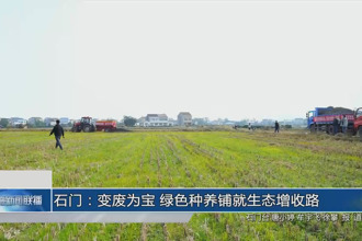石门：变废为宝 绿色种养铺就生态增收路