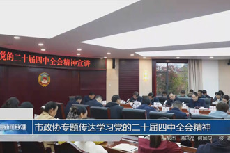 市政协专题传达学习党的二十届四中全会精神