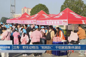 汉寿：野生动物当