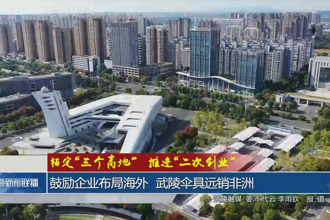 鼓励企业布局海外 武陵伞具远销非洲