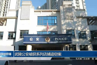 武陵公安破获系列店铺盗窃案