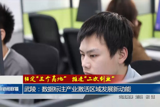 武陵：数据标注产业激活区域发展新动能