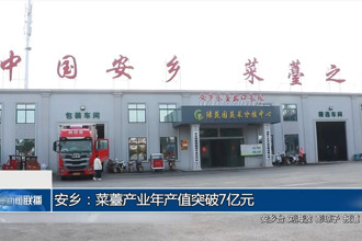 安乡：菜薹产业年产值突破7亿元