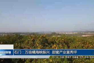 石门：万亩橘海映振兴 甜蜜产业富秀坪