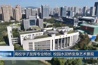 高校学子发挥专业特长 校园水泥桥变身艺术景观