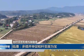 临澧：多措并举促秸秆变废为宝