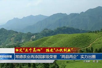常德茶业再添国家级荣誉 