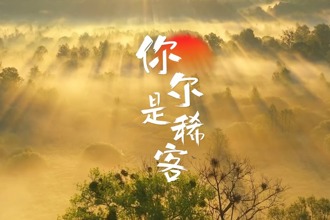 【石门】你尔是稀客