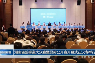 湖南省跆拳道大众赛暨品势公开赛开幕式在汉寿举行