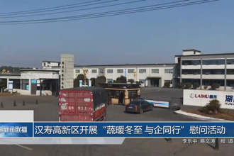 汉寿高新区开展"蔬暖冬至 与企同行"慰问活动