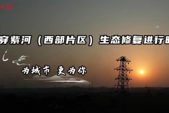 穿紫河（西部片区）生态修复进行时