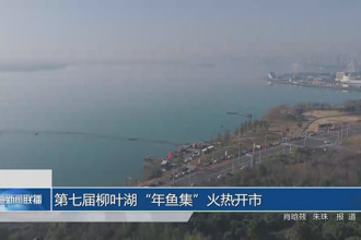 第七届柳叶湖“年鱼集”火热开市