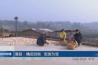 澧县：橘皮回收 变废为宝