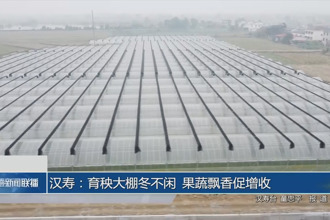 汉寿：育秧大棚冬不闲 果蔬飘香促增收
