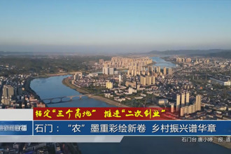 锚定“三个高地”推进“二次创业”(1月11日)