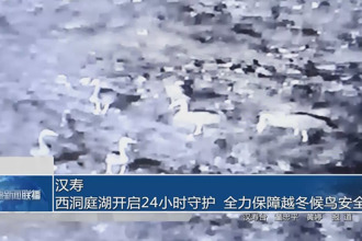 汉寿：西洞庭湖开启 24 小时守护 全力保障越冬候鸟安全