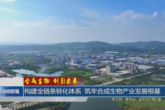 构建全链条转化体系 筑牢合成生物产业发展根基