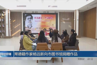 常德籍作家杨远新向市图书馆捐赠作品