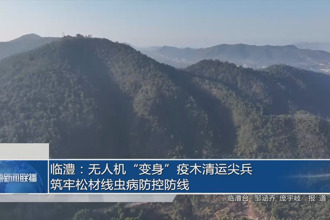 临澧：无人机“变身”疫木清运尖兵 筑牢松材线虫病防控防线