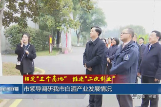 市领导调研我市白酒产业发展情况