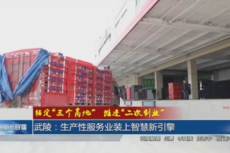 武陵：生产性服务业装上智慧新引擎